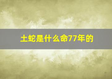 土蛇是什么命77年的