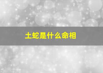 土蛇是什么命相