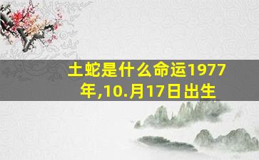 土蛇是什么命运1977年,10.月17日出生