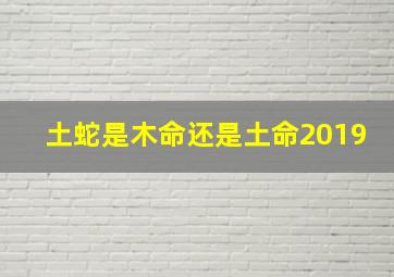 土蛇是木命还是土命2019