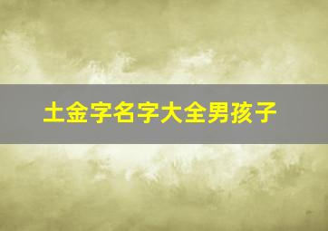 土金字名字大全男孩子