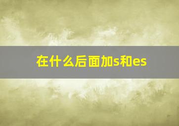 在什么后面加s和es