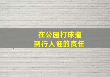 在公园打球撞到行人谁的责任