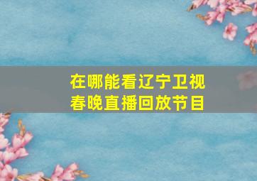 在哪能看辽宁卫视春晚直播回放节目