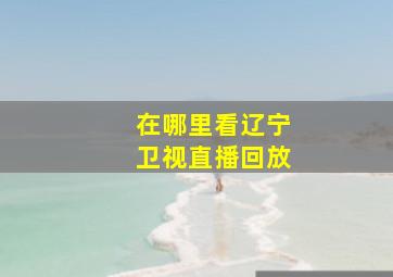 在哪里看辽宁卫视直播回放