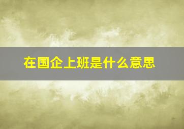 在国企上班是什么意思