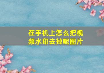 在手机上怎么把视频水印去掉呢图片