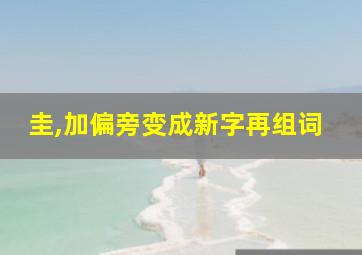 圭,加偏旁变成新字再组词