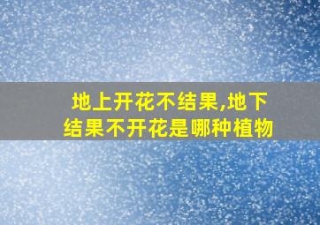 地上开花不结果,地下结果不开花是哪种植物