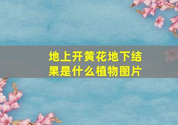 地上开黄花地下结果是什么植物图片