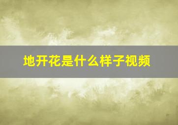 地开花是什么样子视频