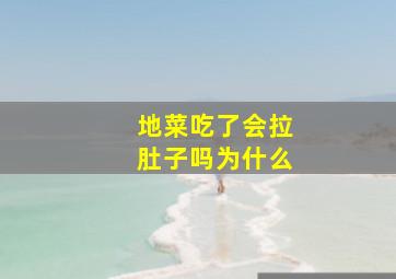 地菜吃了会拉肚子吗为什么