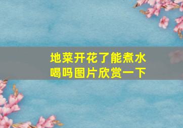 地菜开花了能煮水喝吗图片欣赏一下