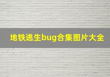 地铁逃生bug合集图片大全