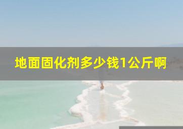 地面固化剂多少钱1公斤啊