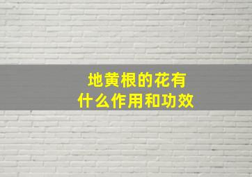 地黄根的花有什么作用和功效