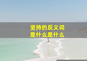 坚持的反义词是什么是什么