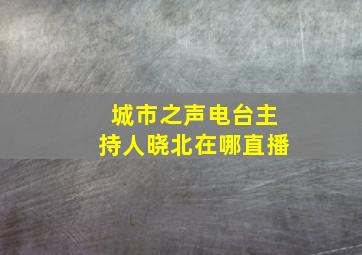 城市之声电台主持人晓北在哪直播