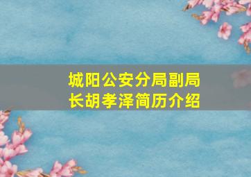 城阳公安分局副局长胡孝泽简历介绍