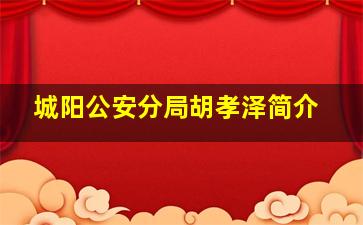 城阳公安分局胡孝泽简介