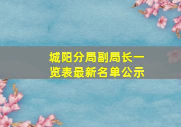 城阳分局副局长一览表最新名单公示