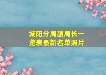 城阳分局副局长一览表最新名单照片