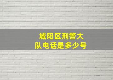 城阳区刑警大队电话是多少号