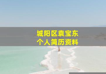 城阳区袁宝东个人简历资料