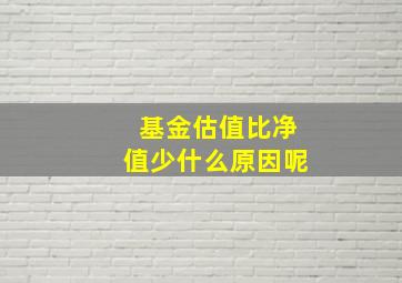 基金估值比净值少什么原因呢