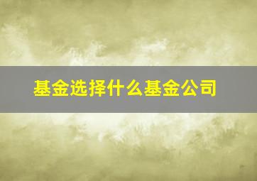 基金选择什么基金公司