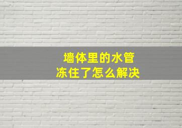 墙体里的水管冻住了怎么解决