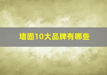 墙固10大品牌有哪些