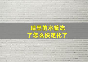 墙里的水管冻了怎么快速化了