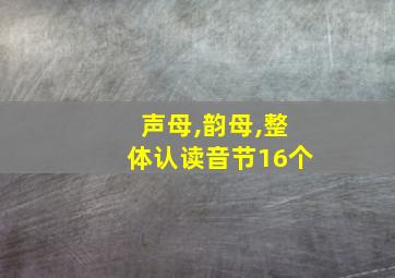 声母,韵母,整体认读音节16个