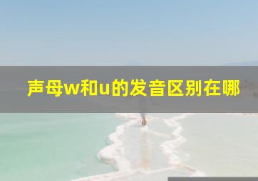 声母w和u的发音区别在哪