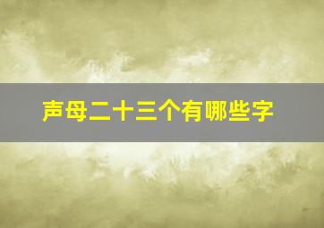 声母二十三个有哪些字