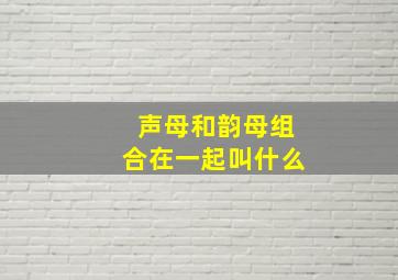 声母和韵母组合在一起叫什么