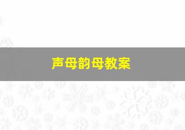 声母韵母教案