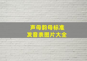 声母韵母标准发音表图片大全