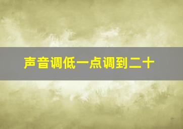 声音调低一点调到二十