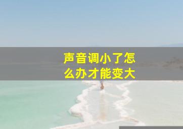 声音调小了怎么办才能变大