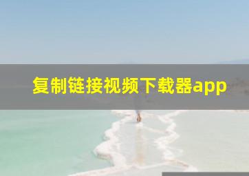 复制链接视频下载器app