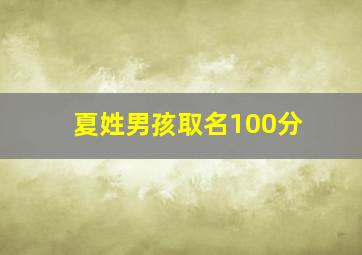 夏姓男孩取名100分