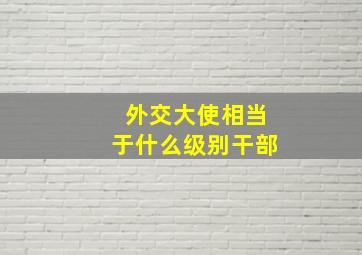 外交大使相当于什么级别干部