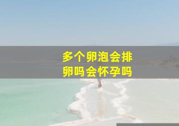 多个卵泡会排卵吗会怀孕吗