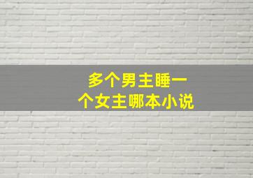 多个男主睡一个女主哪本小说