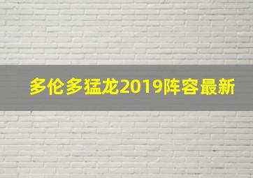 多伦多猛龙2019阵容最新