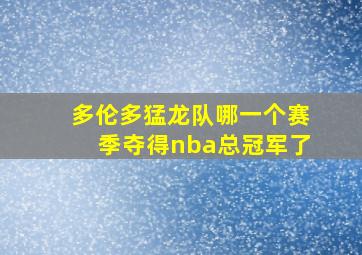 多伦多猛龙队哪一个赛季夺得nba总冠军了