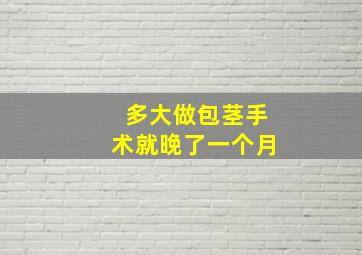 多大做包茎手术就晚了一个月