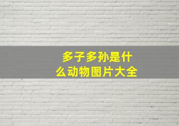 多子多孙是什么动物图片大全